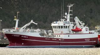 Fiskebåter til salgs på island